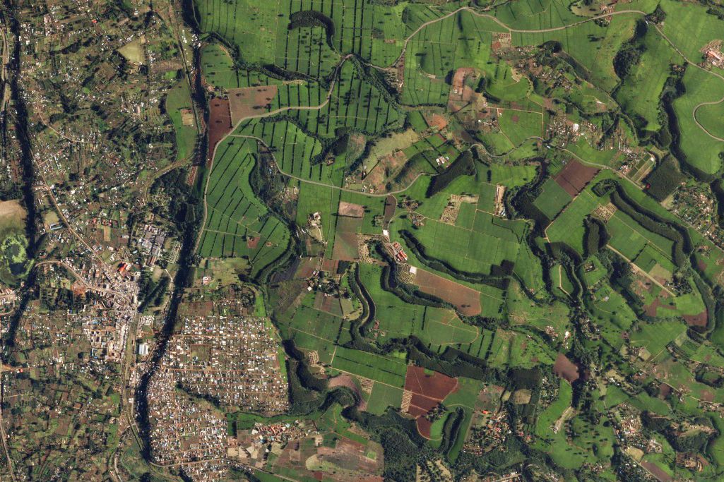 Cover: The Great Regeneration