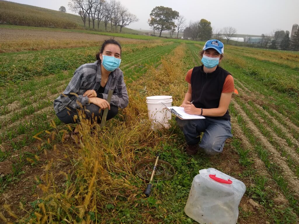 Two people kneel on the ground in a field with masks on while taking water filtration samples.
